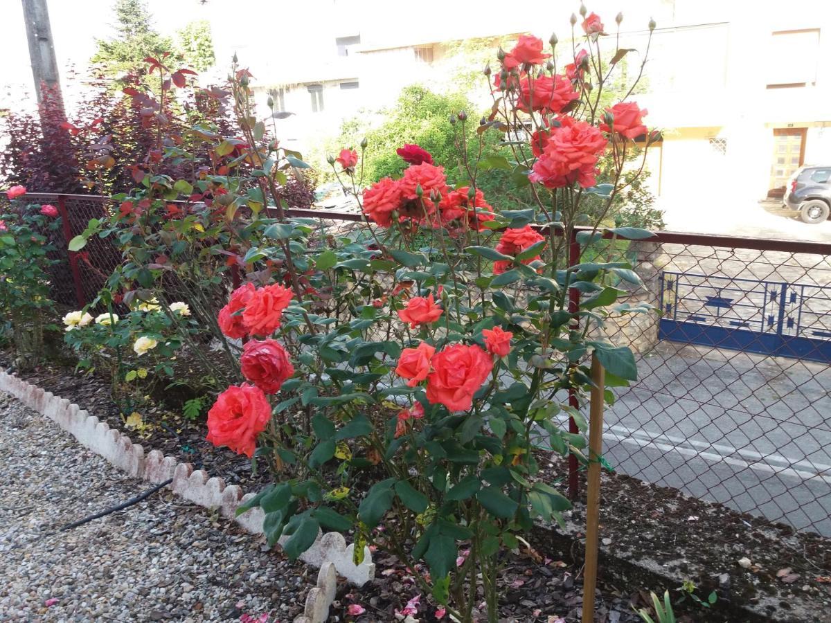 Bed And Breakfast Les Roses Multicolores Du 47 Fumel Екстериор снимка